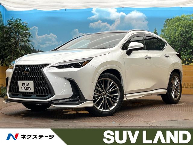 Lexus NX 1