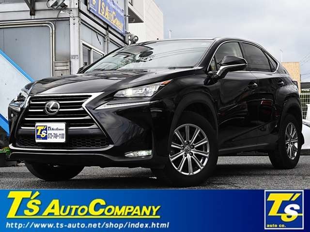 2015 Lexus NX