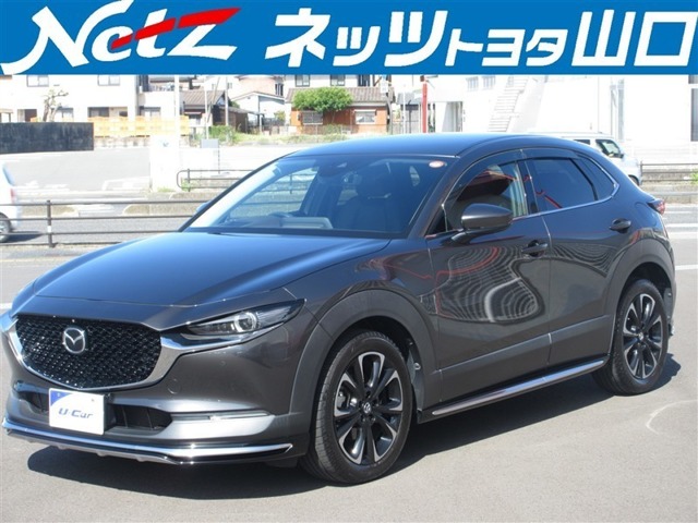 Mazda CX-30 1
