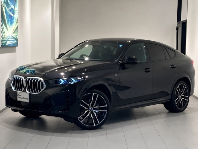 2024 BMW X6