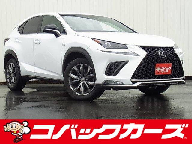 2018 Lexus NX