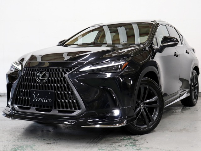 Lexus NX 1