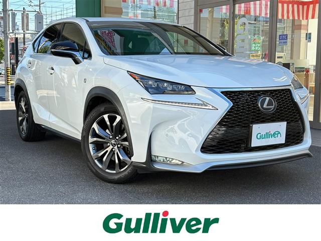 Lexus NX 1