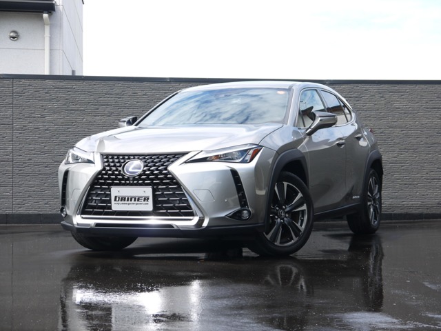 2019 Lexus UX