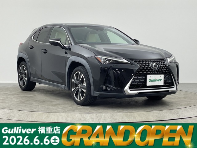 2018 Lexus UX
