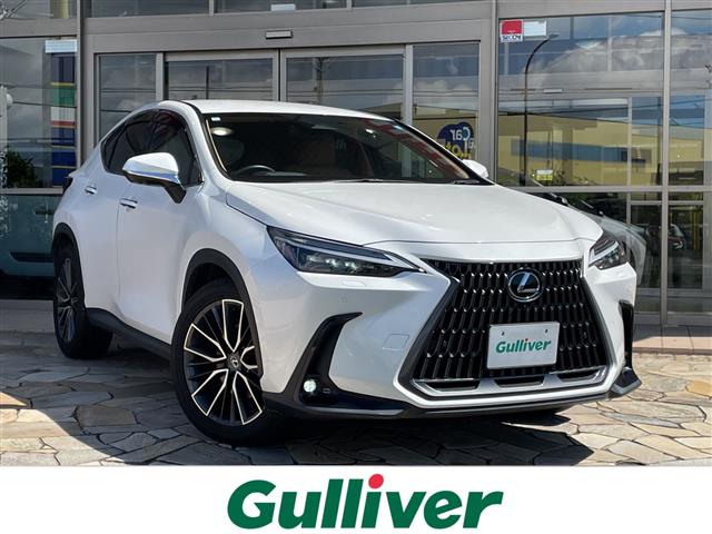 Lexus NX 1