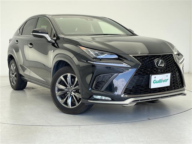 Lexus NX 1