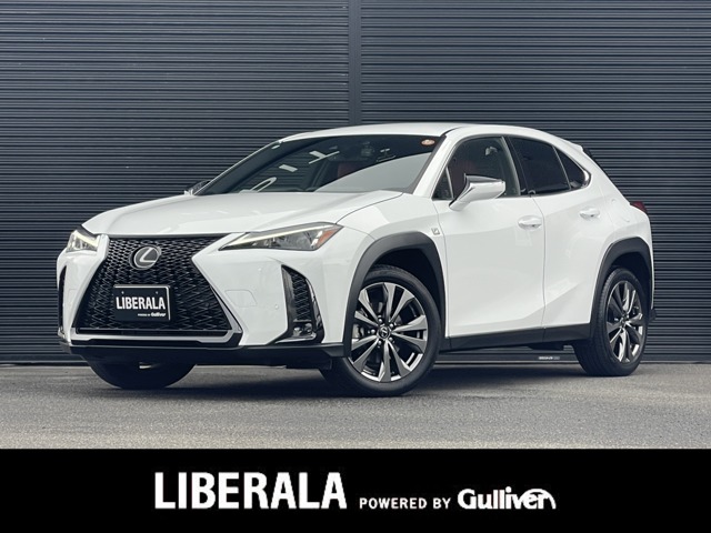 Lexus UX 1