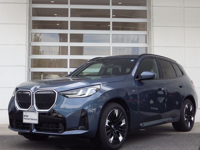 BMW X3 1