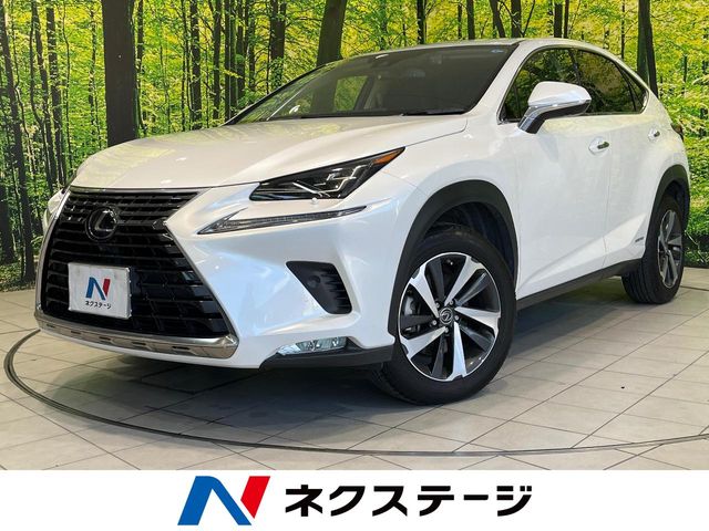 2020 Lexus NX