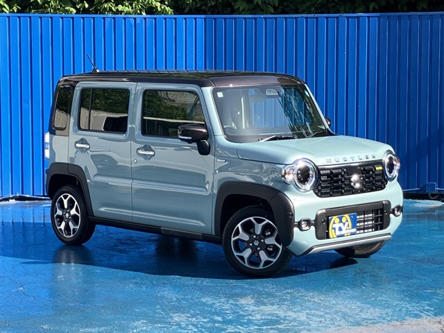 Suzuki Hustler 1