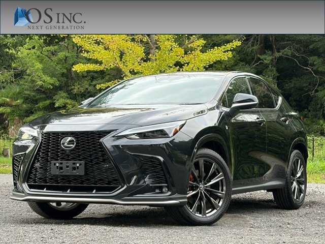 2025 Lexus NX