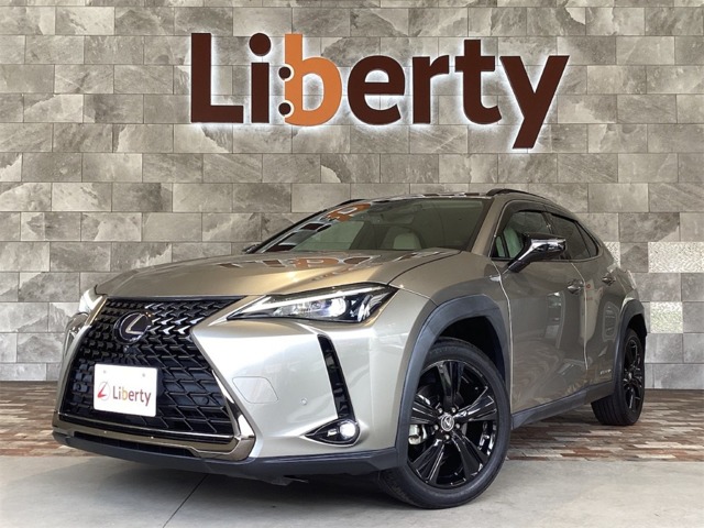 2021 Lexus UX