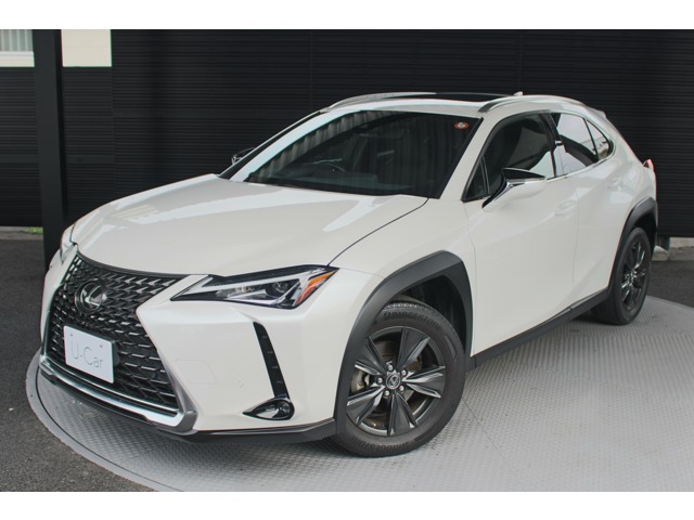 2020 Lexus UX