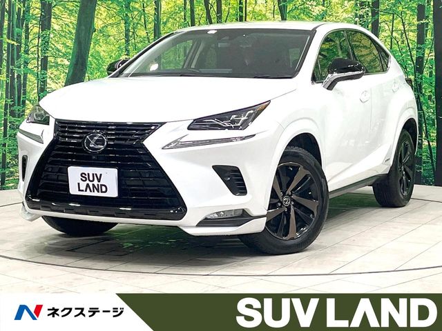 2019 Lexus NX