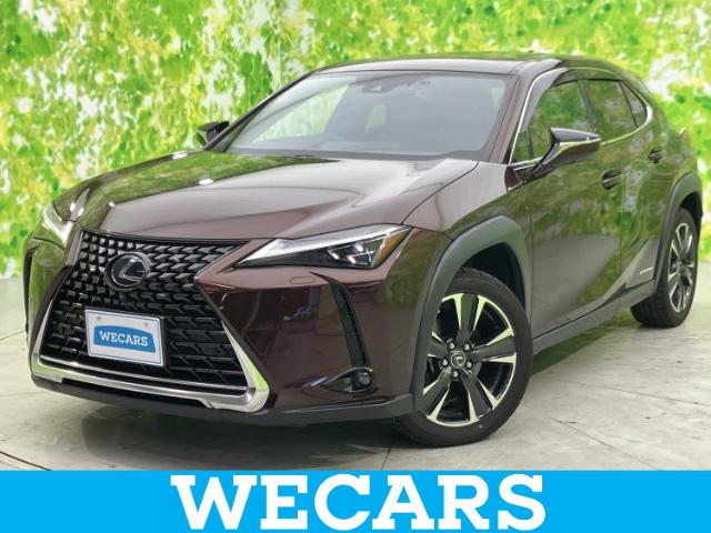 2020 Lexus UX