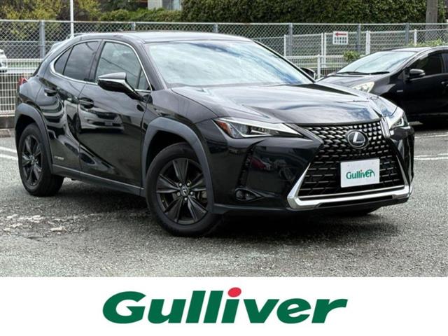 2020 Lexus UX