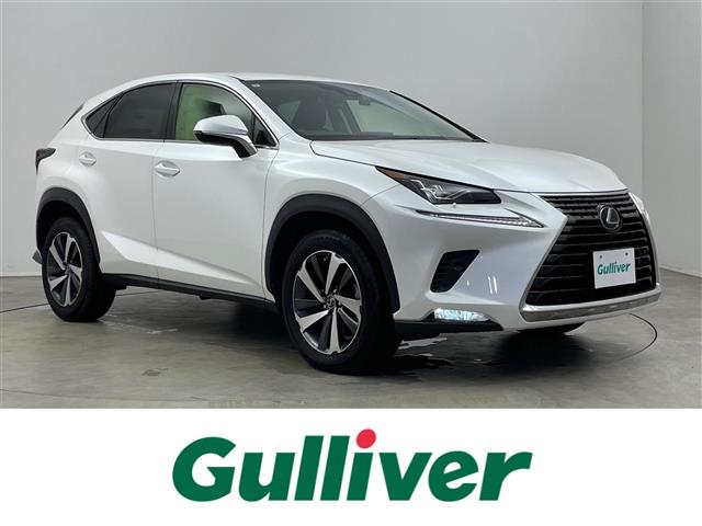 2019 Lexus NX