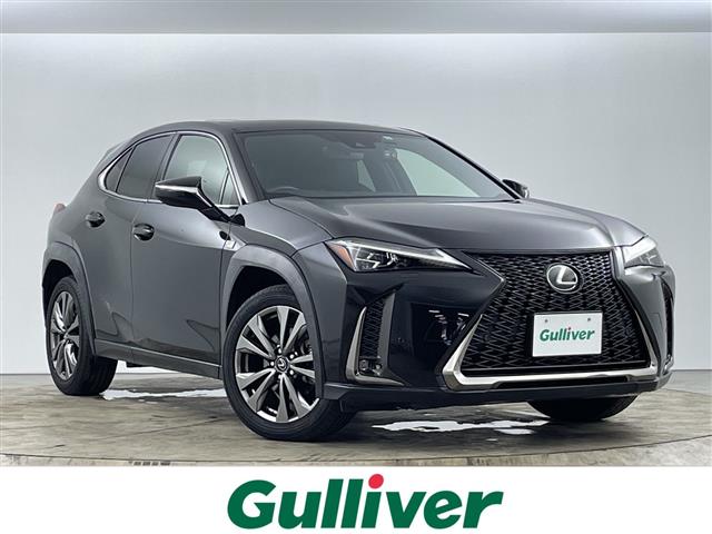 Lexus UX 1