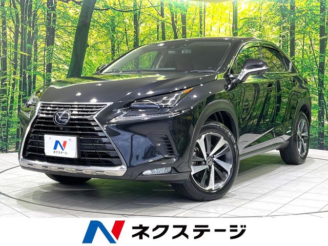 2019 Lexus NX