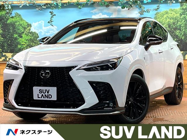Lexus NX 1
