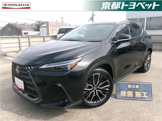 2024 Lexus NX