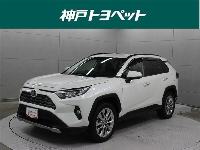 2020 Toyota RAV4