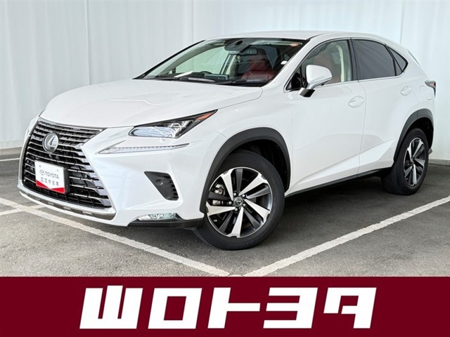 2019 Lexus NX