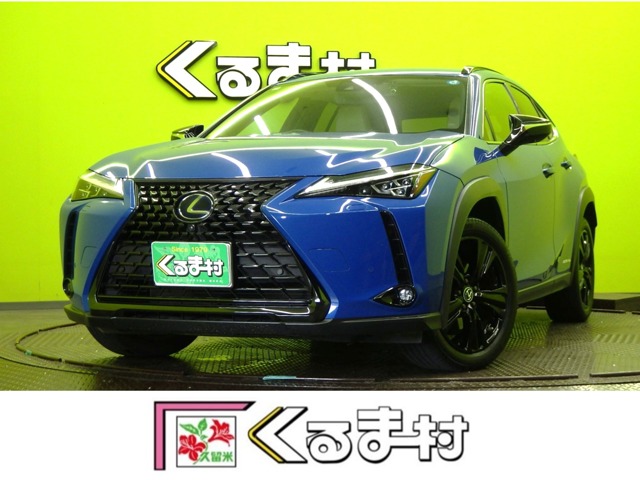 2021 Lexus UX