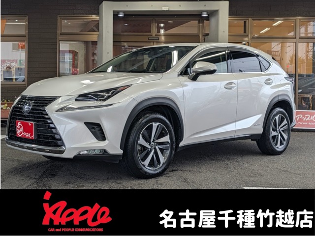 2019 Lexus NX