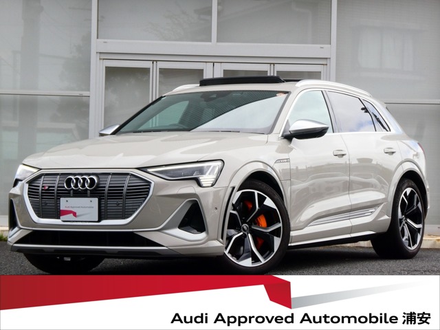 2022 Audi e-tron S