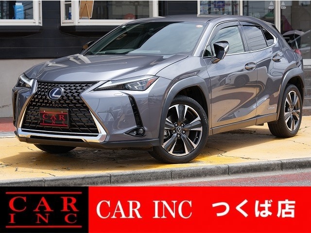 2021 Lexus UX