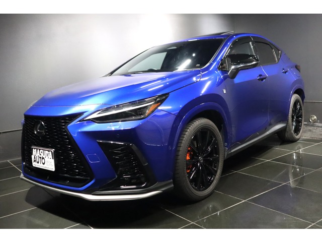 Lexus NX 1