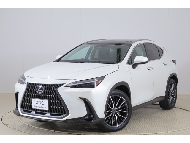 Lexus NX 1