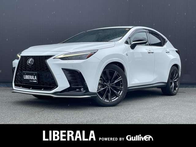 Lexus NX 1