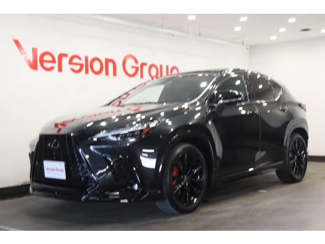Lexus NX 1