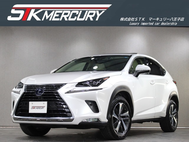 Lexus NX 1