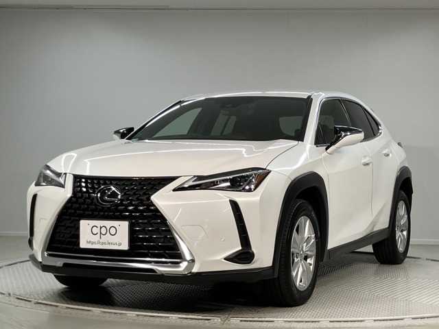 2021 Lexus UX