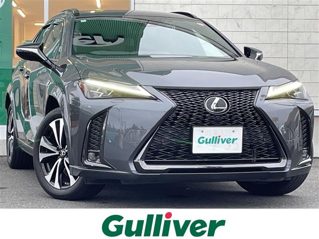 Lexus UX 1