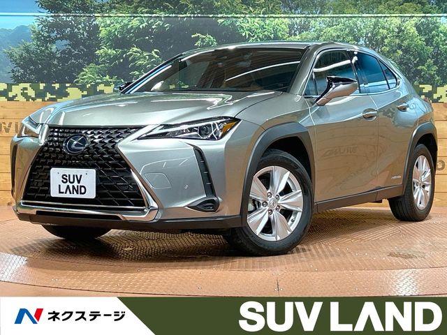 2020 Lexus UX
