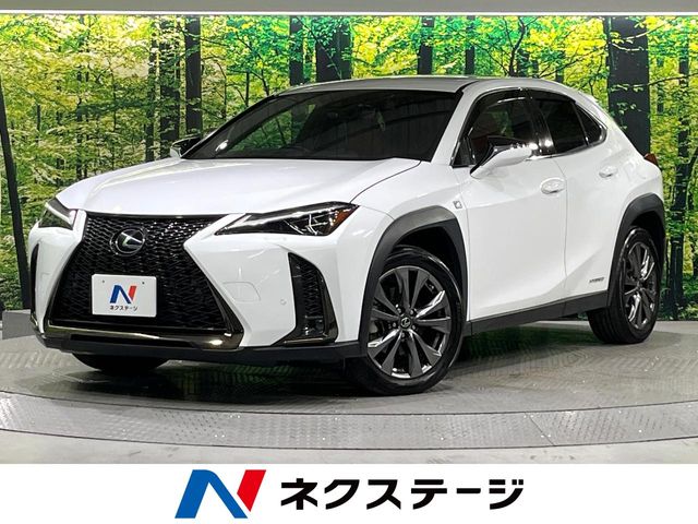 2020 Lexus UX