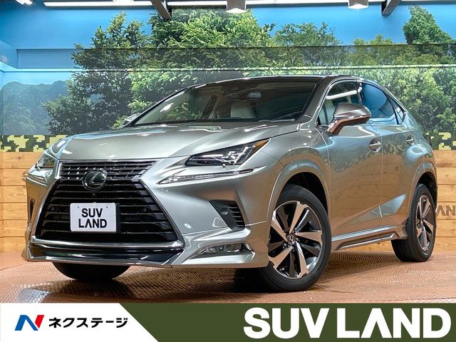 Lexus NX 1