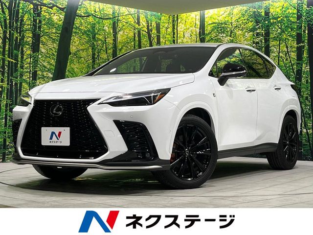 Lexus NX 1