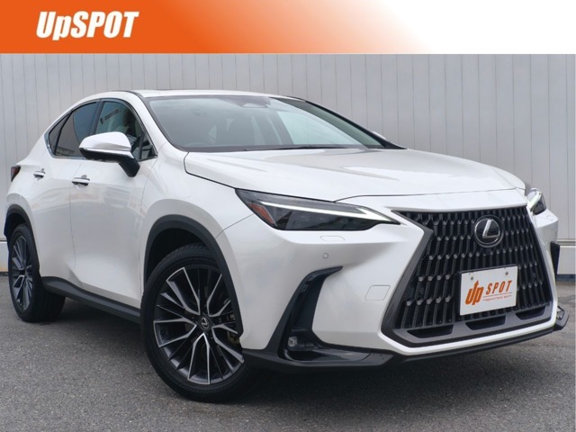 Lexus NX 1