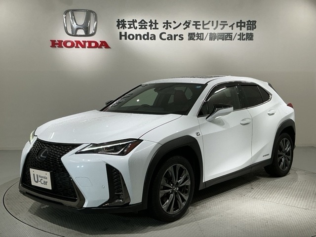 2020 Lexus UX
