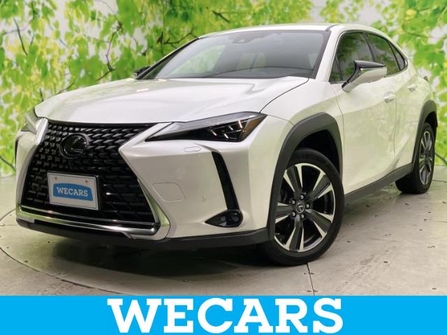 2023 Lexus UX
