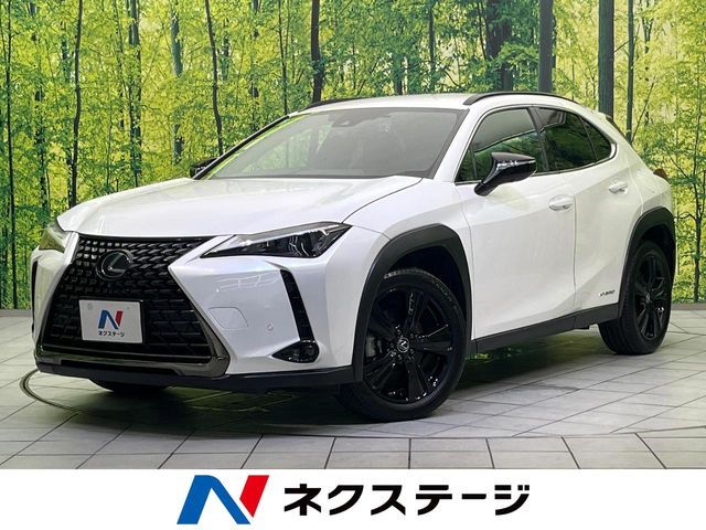 2021 Lexus UX