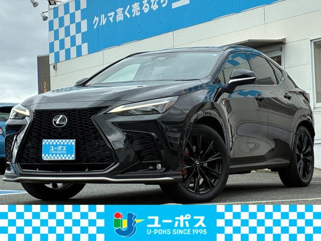 Lexus NX 1