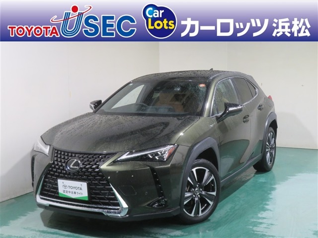 Lexus UX 1