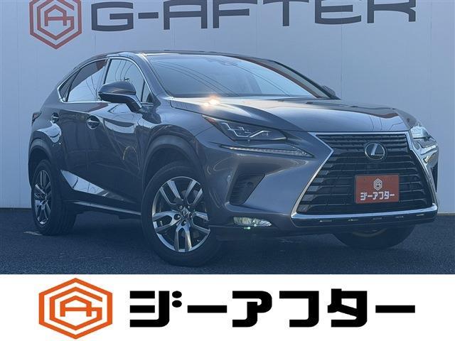 Lexus NX 1